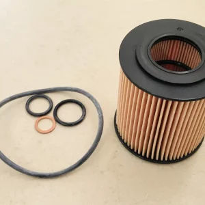 Ölfilter für BMW N40 N42 N43 N45 N46 E46 Z3 Z4 X3 E61 E90 E81 E83 E84 E87 E91 E92