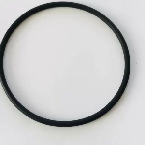 Dichtung O-Ring Vakuumpumpe für BMW N43 1er 3er 5er BMW 11667576823 zu BMW 7547024