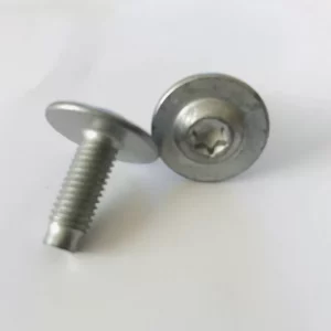 Schraube für Lampenträger Frontbügel SMART 450 Innentorx Smart Q0002710V002